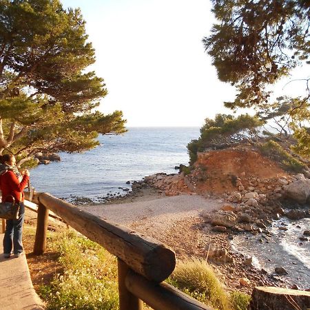 t2 bord de mer au calme Bandol Eksteriør bilde